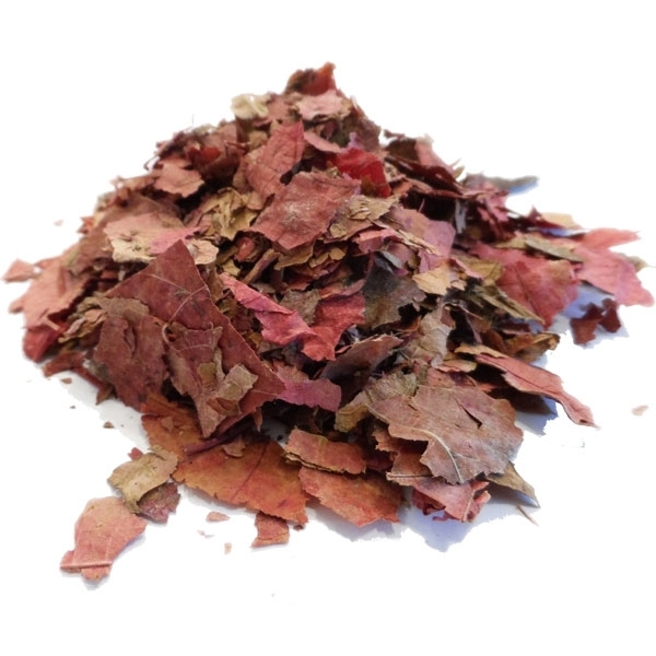 vigne-rouge-feuille-extra-rouge-coupee-gros